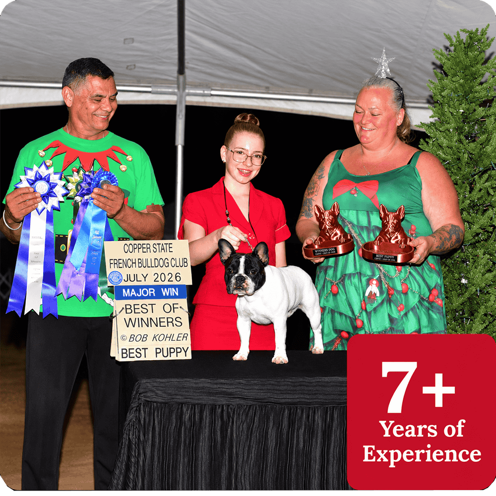 French Bulldog Champions Under the Tent copy